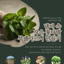 [오감만족 Farm to Table] 냄비 속 작은 꽃다발 부케가르니 만들기: 나만의 육수 비법 이미지