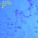 카카오 N 동물병원 이미지