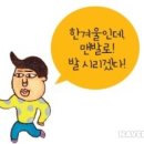 세계사 버스 - 교회가 막강한 힘을 가졌어요 1077년 카노사의 굴욕과 교황권의 승리 이미지