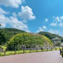 왕릉원 주차장 화장실 이미지