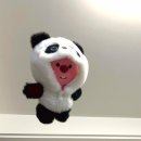 멍블랑 반려견미용실 이미지