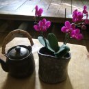 꽃파는아저씨 앞 이미지