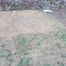 정관농장 이미지