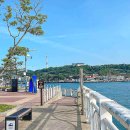 중앙동주민센터 화장실 | 여수밤바다 불꽃축제 시간 명당 장소와 주차 정보