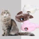로켓고양이