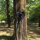 ⛰️튼튼하고 안전한 등산스틱, 하이콜릭 등산스틱 정말 편해요!! 두랄루민7075 접이식등산스틱 사용 후기