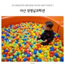 실옥로 | 아산 장영실과학관 생태곤충원 아산타워 두돌아기 방문후기