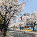 온누리 옥산약국 이미지