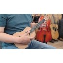 우쿠렐레(중급) 이미지