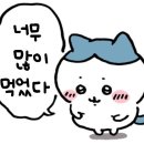 조선소한복 | [2024.08.15] 거제도 여행기 1(feat. 거제 덴바스타 료칸 연박후기)