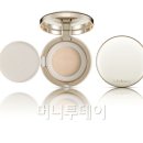 채담 머니투데이