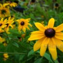 구천동한의원 이미지