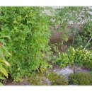 쏠티동산어린이집 이미지