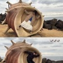 신신목장 이미지