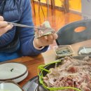 명산오리 이미지