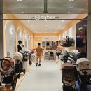 P&S 주니어 골프아카데미 | [싸이벡스] 주니어 카시트, 솔루션 티 플러스 내돈내산