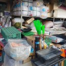 시장건재 이미지