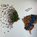 나비공원1(자연교육센터) 이미지