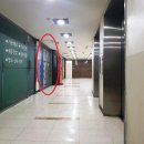 강남-135 이미지