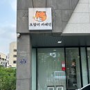 호랑이카페인