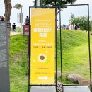 장남-2 | 연천 호로고루 통일바라기 축제 후기, 연천 장남 해바라기 축제 다녀왔어요!