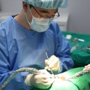 연세마스터즈치과의원 이미지