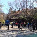 일락농원 이미지