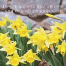 성구