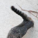 채령농장 이미지