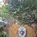 60분간의 음악일주 | 발리 요가원 정보