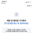 숙성도중문
