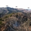 추원모차골 이미지