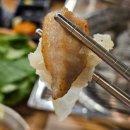 황제식껍 이미지