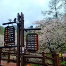 후기 ㅡ 4월 13일 진천 미르숲과 초평호 둘레길, 좌구산 휴양림 걷기 이미지