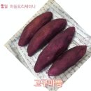 초등과학지도사1급 이미지