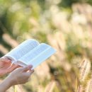 온산도서관 이미지