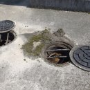 진월농장 이미지