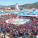 제15회 청송사과축제 이미지