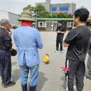 본당및공소 예초작업 이미지
