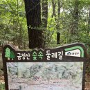 금정산 고당봉 후기가 될 뻔한 범어사 후기