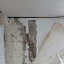 도배나라 | 부산 도배, 이제 '도배나라'에서 확실하게 해결했어요!