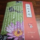 구하산방 | 이진사전(李進士傳) 임서 민체 써보기