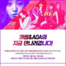이색토탈패션