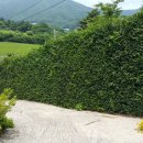 산아래 하우스 이미지