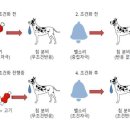 커피광 이미지