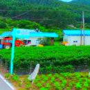 산과수원민박 이미지