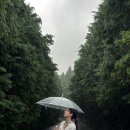 은지목장 이미지