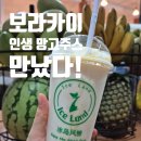 아이스랜드 - 남원시 남문로 402 | 보라카이 맛집 스테이션3 '아이스랜드' , 인생 망고주스 놓칠 뻔한 순간
