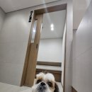 금샘동물병원 이미지