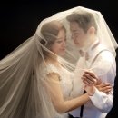 스튜디오나봄